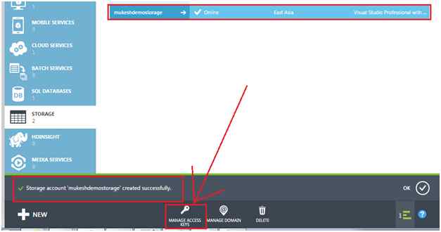 click on the Manage Access Keys